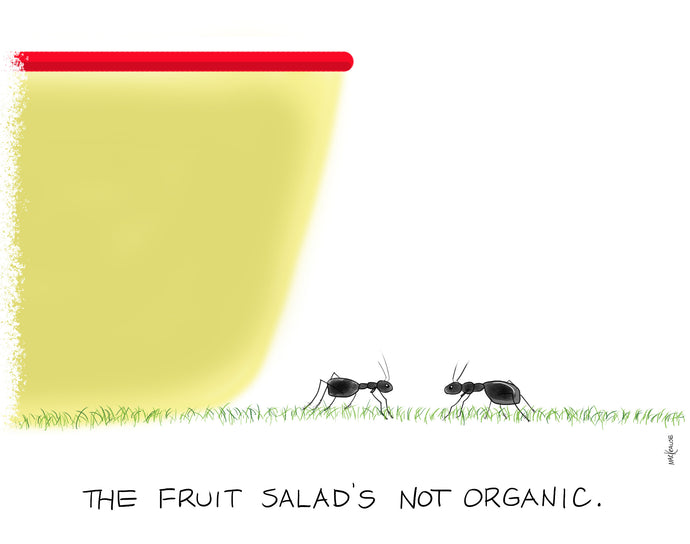 The Fruit Salad